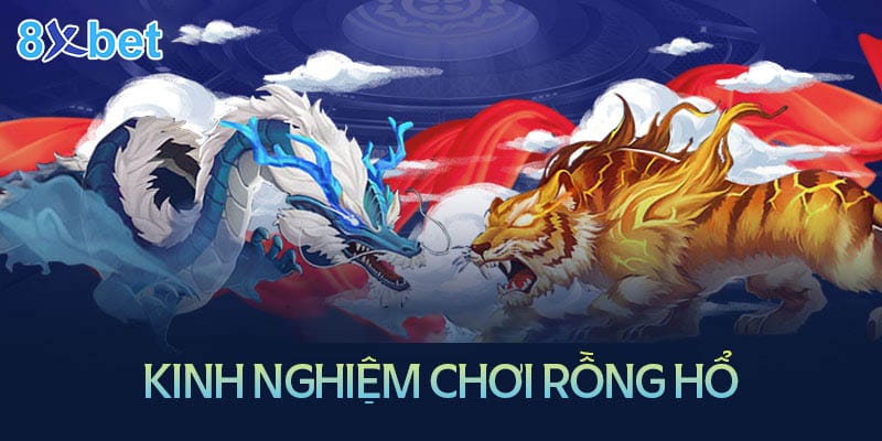 Hướng dẫn chơi Rồng Hổ 8xbet đơn giản chi tiết nhất Kinh nghiệm chơi Rồng Hổ luôn thắng lớn