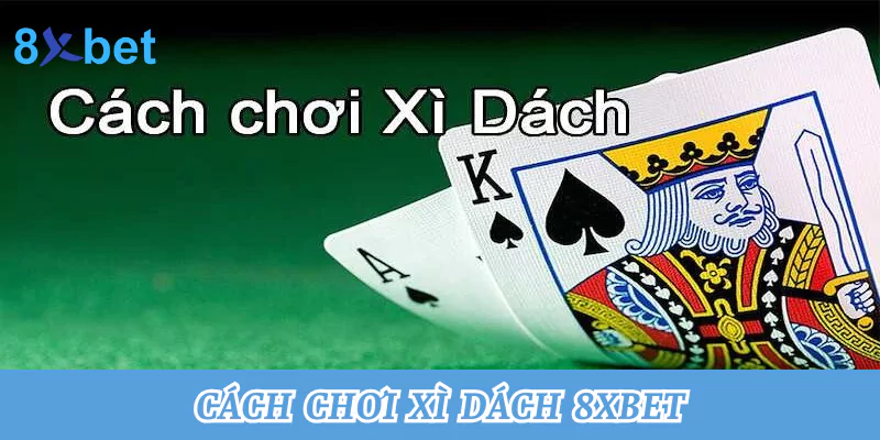 Tổng hợp cách chơi xì dách tại nhà cái 8xbet thắng lớn nhất Cách chơi bài xì dách