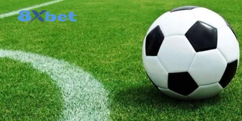 Số Liệu Thống Kê Lịch Sử Đối Đầu Của Các Đội Bóng Lớn Tại World Cup Dữ liệu lịch sử vẫn mang nhiều giá trị tham khảo