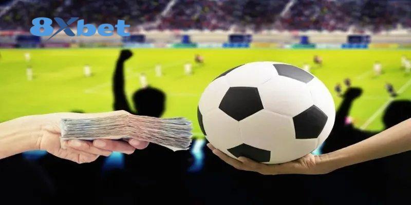 Ứng dụng hỗ trợ theo dõi World Cup hiệu quả